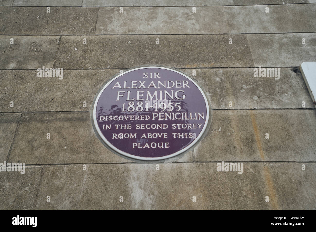 Alexander Fleming placca, l'ospedale St Mary Foto Stock
