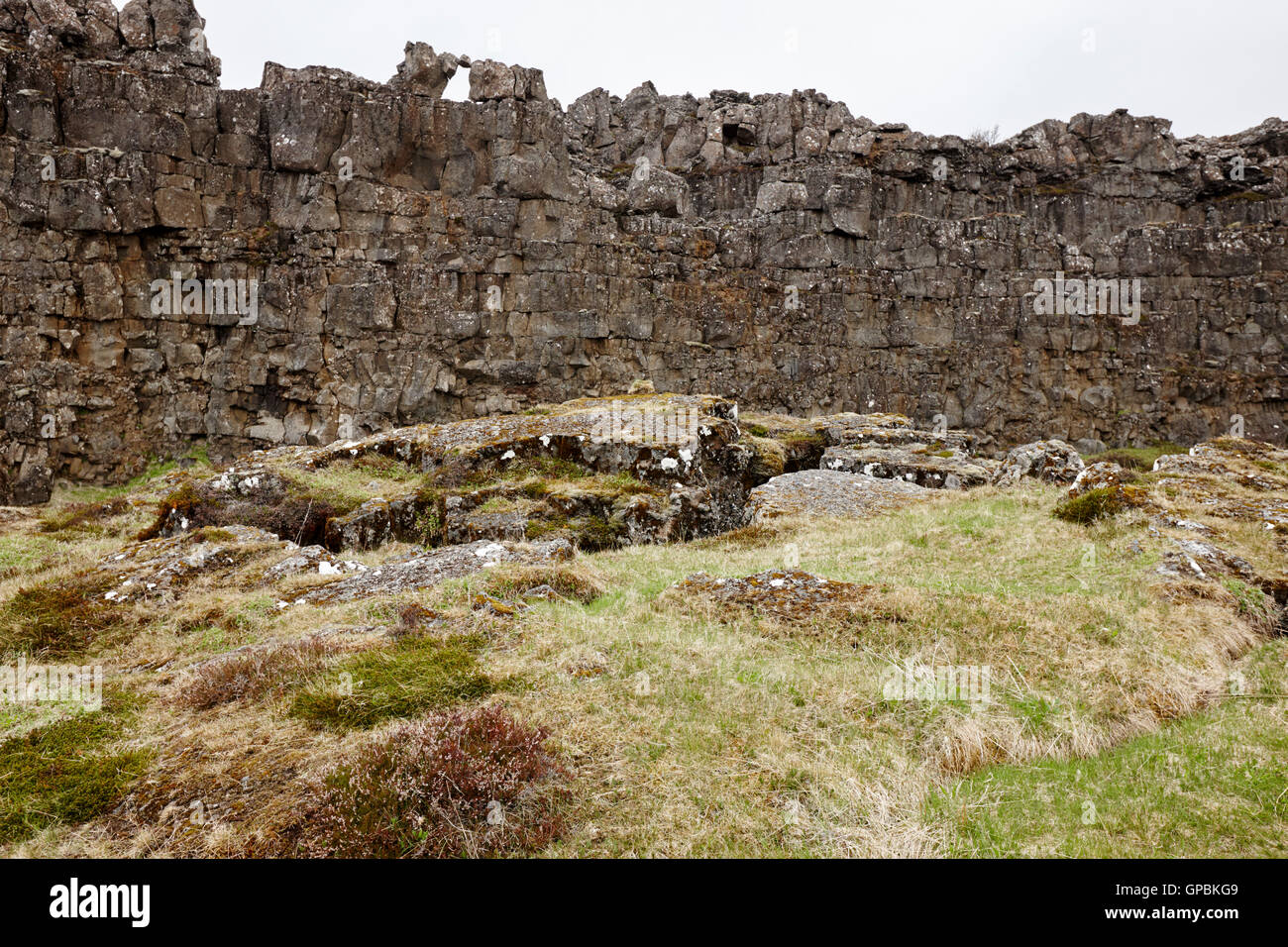 Il flusso di lava crack parete di basalto sezione della placca continentale in thingvellir Islanda Foto Stock