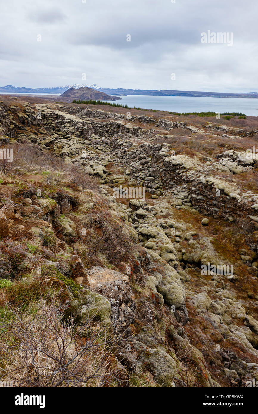 Fessure nelle placche continentali a Thingvellir parco nazionale di Islanda Foto Stock