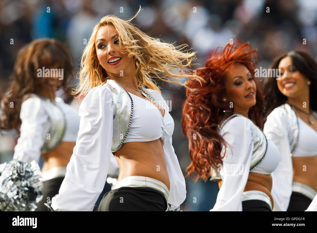 Novembre 28, 2010; Oakland, CA, Stati Uniti d'America; Oakland Raiders cheerleaders eseguire durante il primo trimestre contro i delfini di Miami a Oakland-Alameda County Coliseum. Miami sconfitto Oakland 33-17. Foto Stock