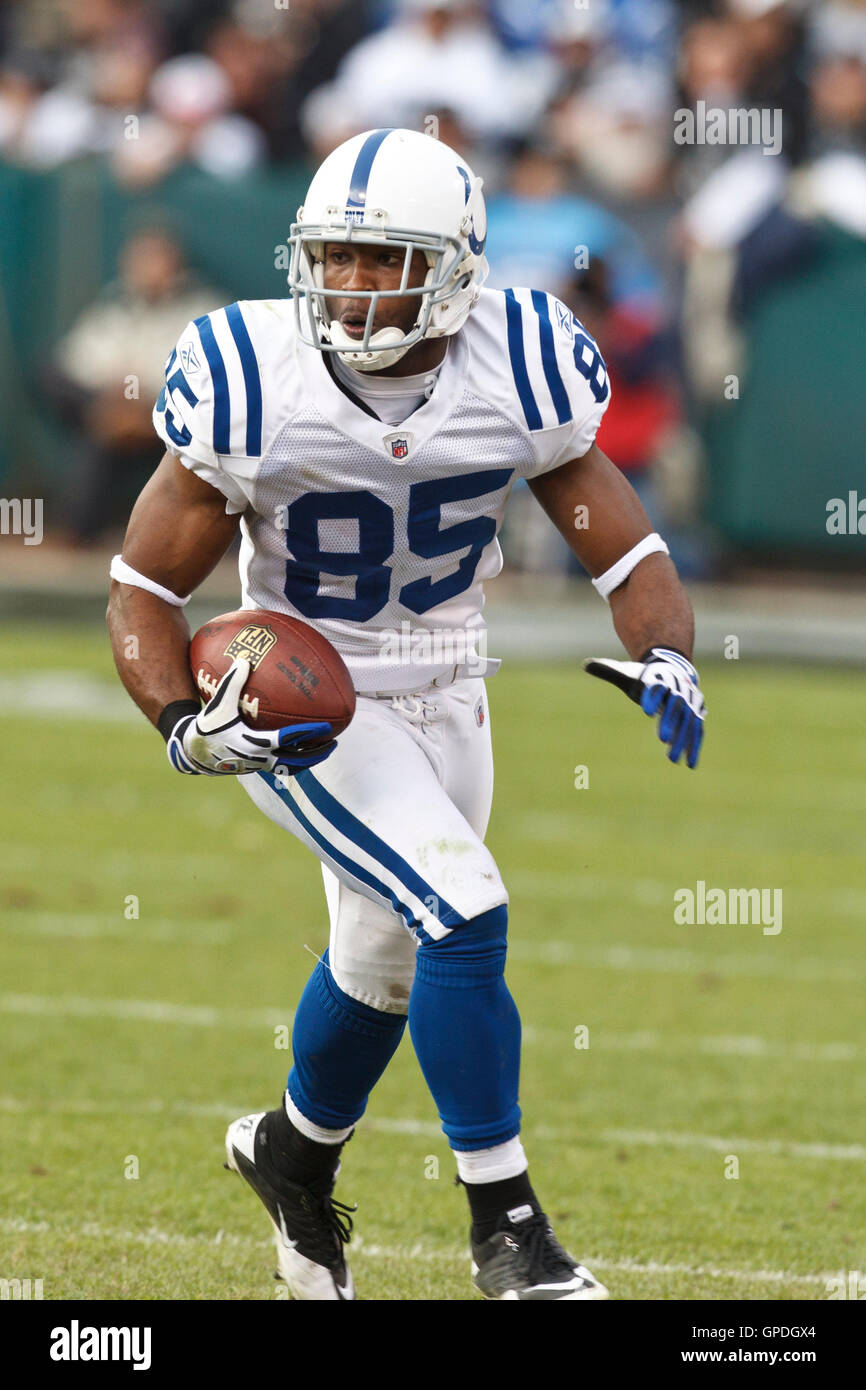 Dicembre 26, 2010; Oakland, CA, Stati Uniti d'America; Indianapolis Colts wide receiver Pierre Garcon (85) si precipita il campo dopo un pass reception contro Oakland Raiders durante il terzo trimestre a Oakland-Alameda County Coliseum. Indianapolis sconfitto Oakland da 31-26. Foto Stock