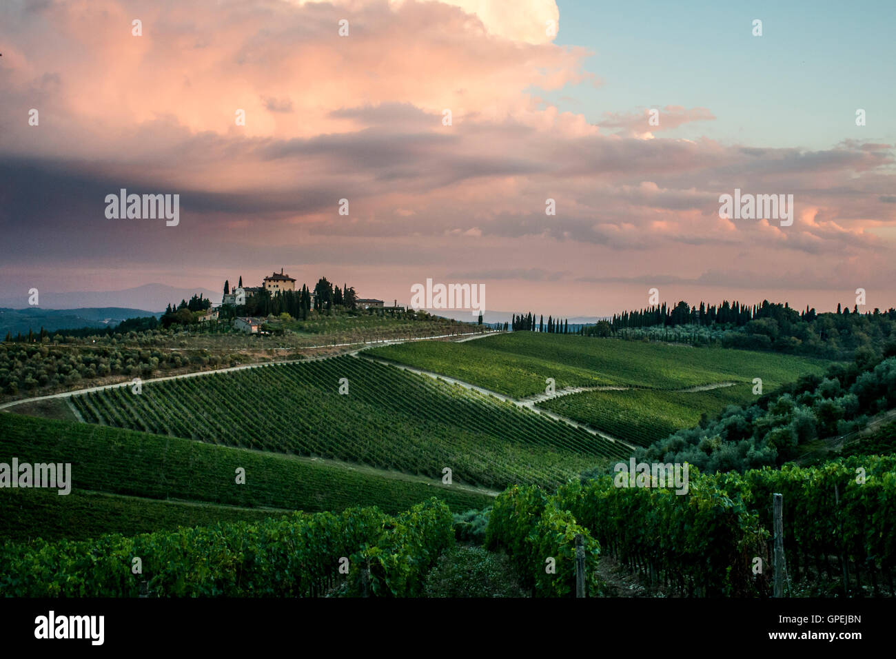 Guardare oltre il vigneto in Toscana al tramonto Foto Stock