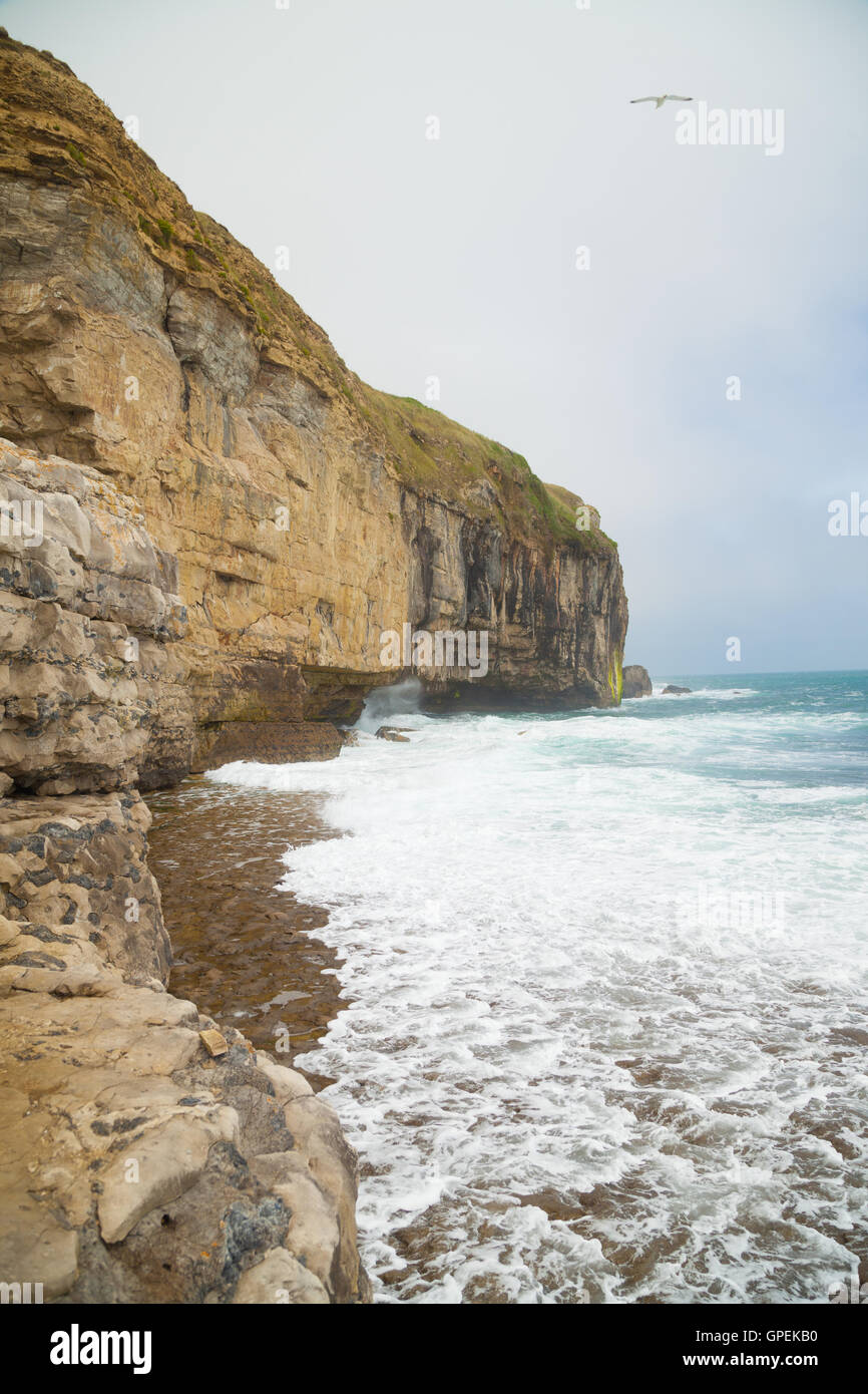 Onde che si infrangono sulla battuta di ballo sulla isola di Purbeck Dorset. Foto Stock