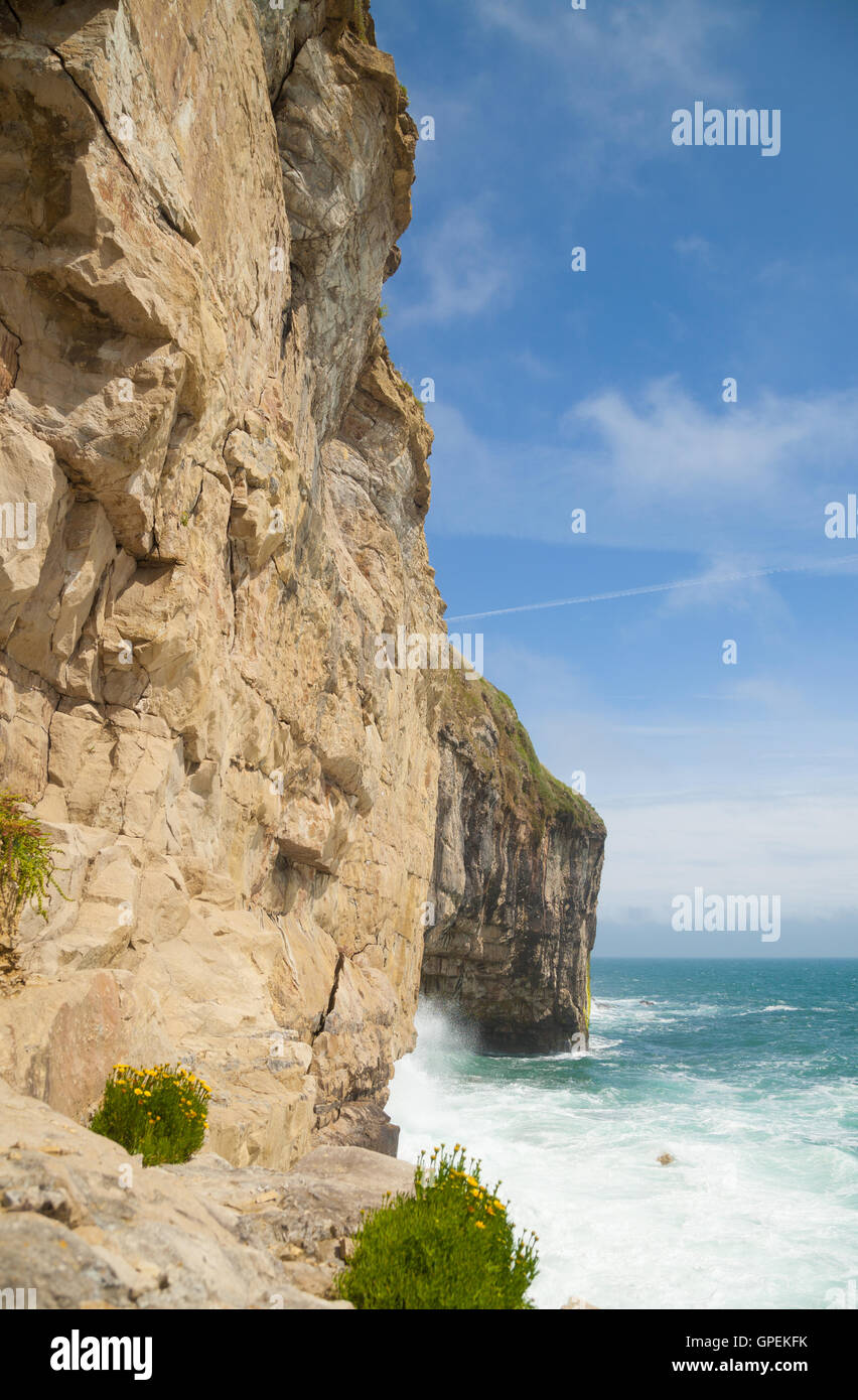 Onde che si infrangono sulle rocce vicino a Dancing battuta sul isola di Purbeck Dorset. Foto Stock