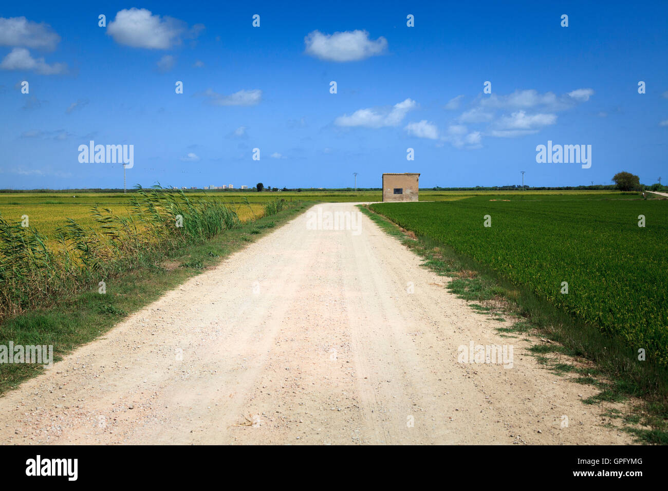 Bianco su strada sterrata con un piccolo edificio campo e cielo blu Foto Stock