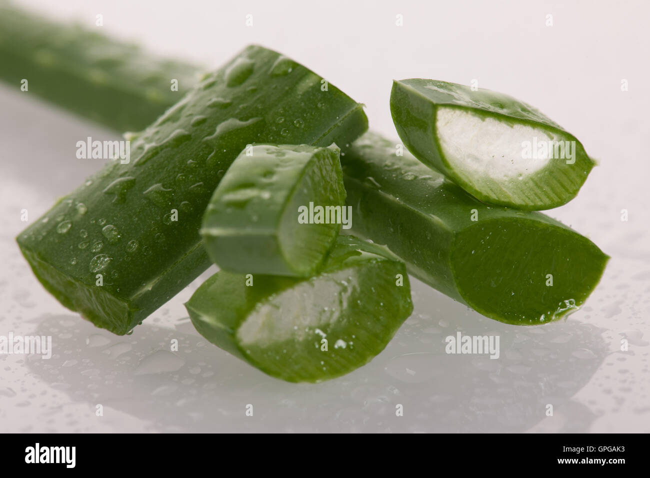 Aloe vera verde foglie fresche a fette isolate su sfondo bianco Foto Stock