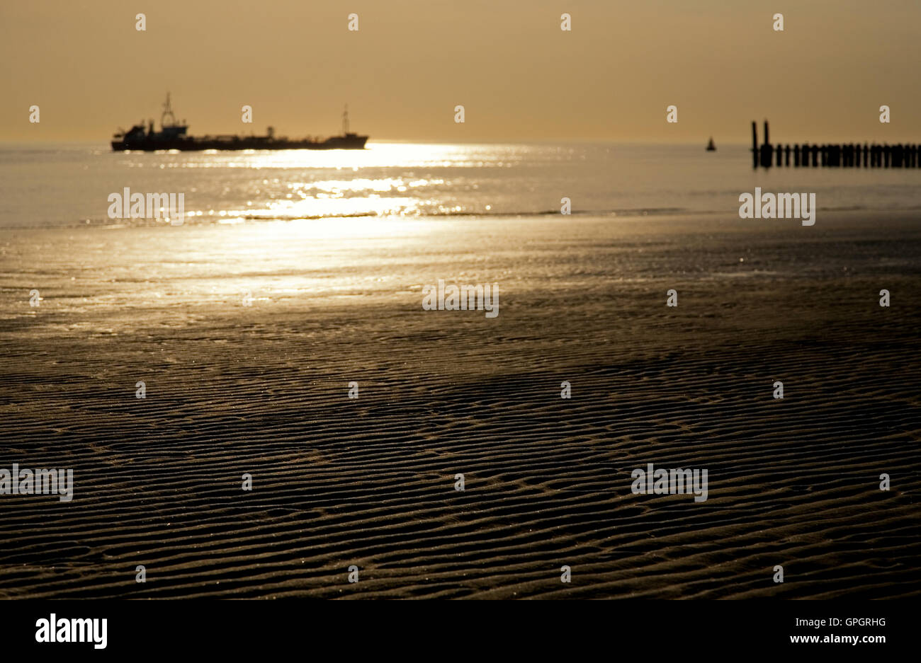 Nave che lascia il porto di Anversa - Belgio come si vede dalla spiaggia Foto Stock