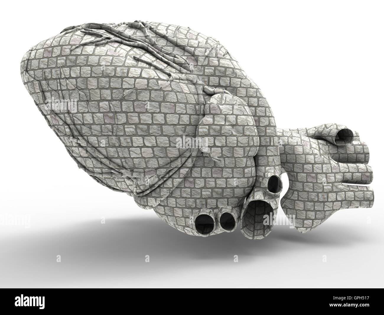 Modello artificiale del cuore umano Foto Stock