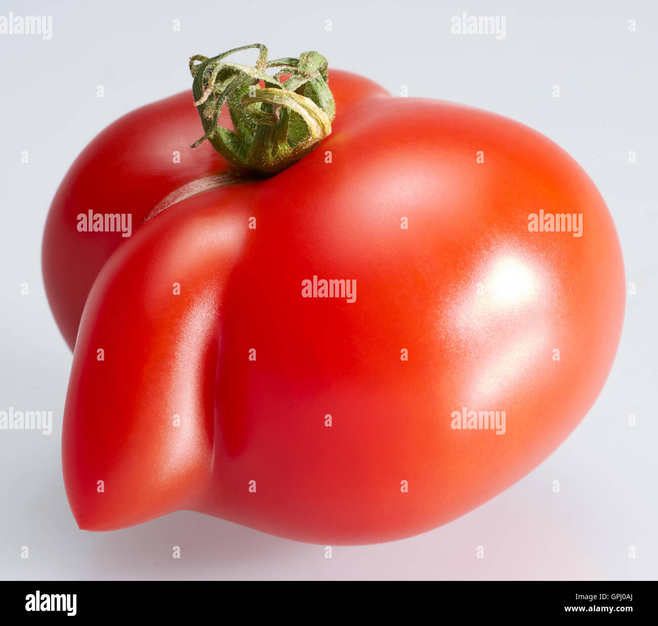 Strano a forma di pomodoro rosso in grigio chiaro indietro Foto Stock