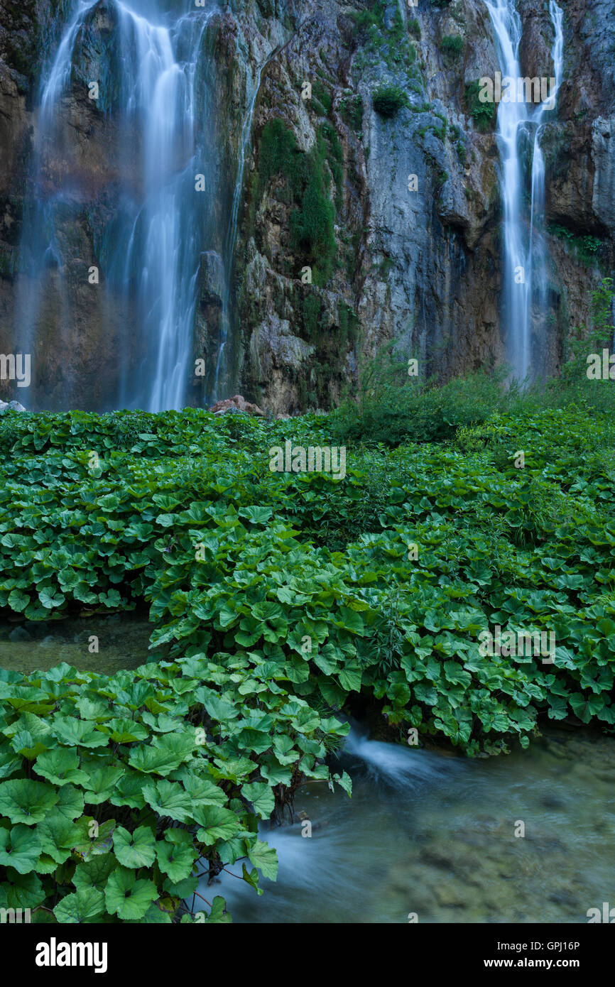 Veliki Slap Waterfall parte principale nel Parco Nazionale dei Laghi di Plitvice, Croazia Foto Stock