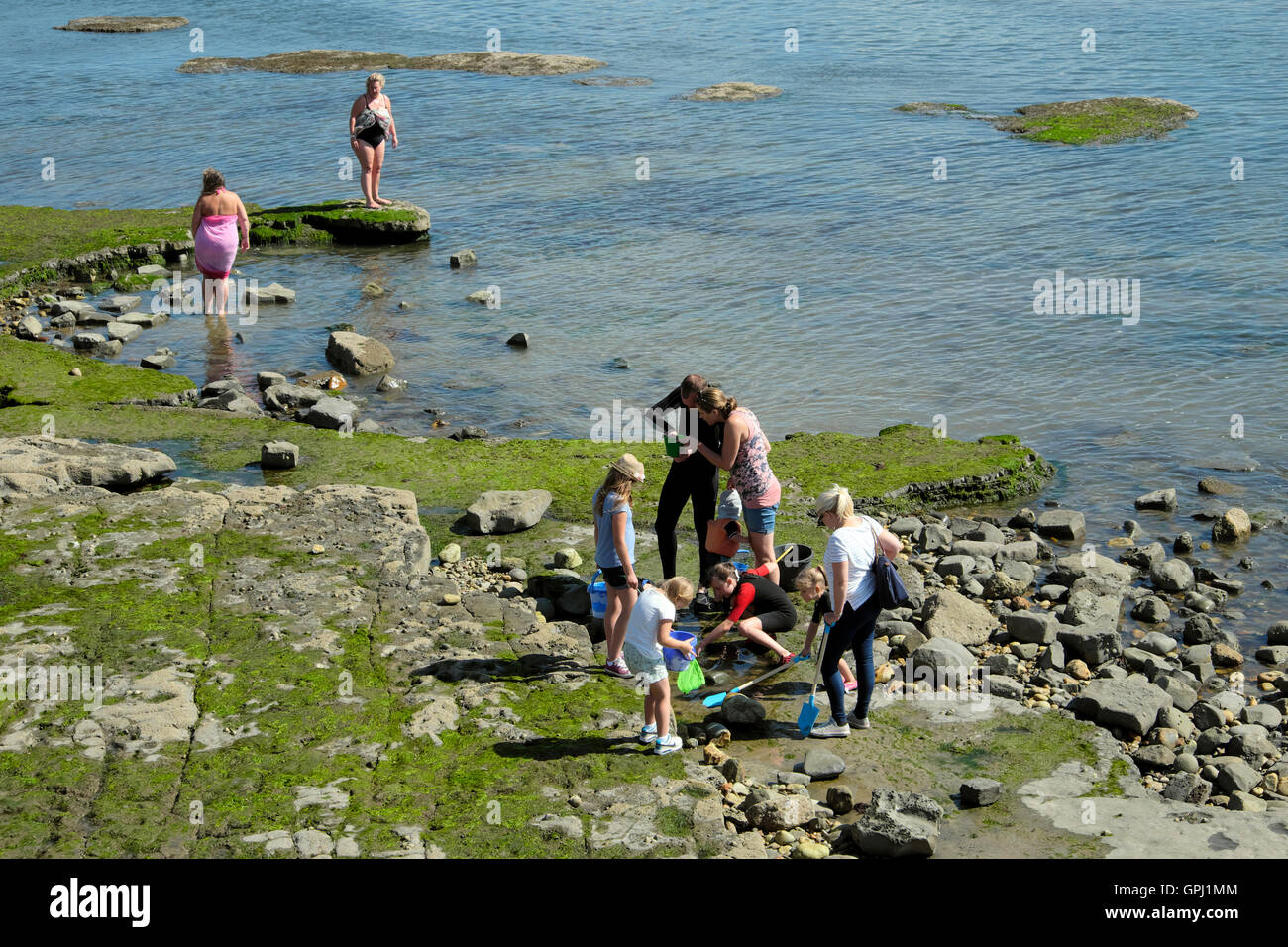 Famiglia rockpooling e fossili la caccia sul lungomare shore a Lyme Regis nel Dorset Regno Unito Inghilterra KATHY DEWITT Foto Stock