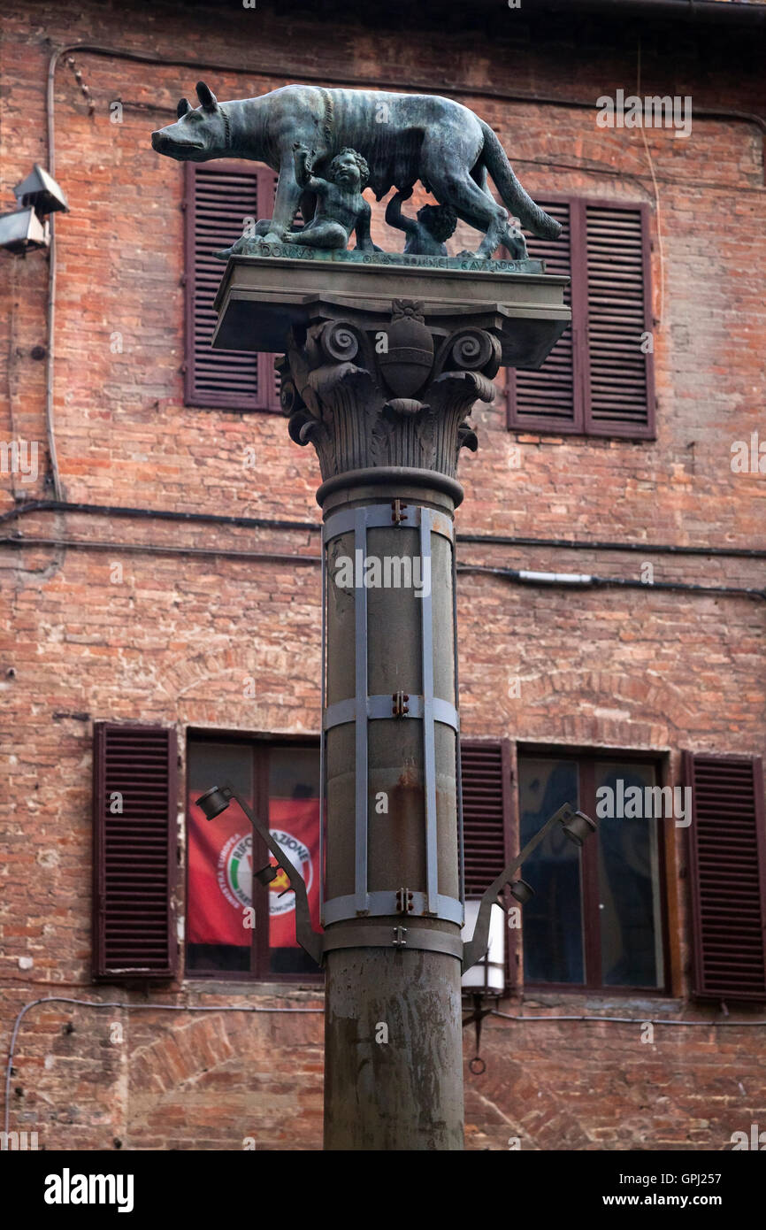 Statua di lupo capitolino, il simbolo della città di Siena in Toscana, Italia Foto Stock
