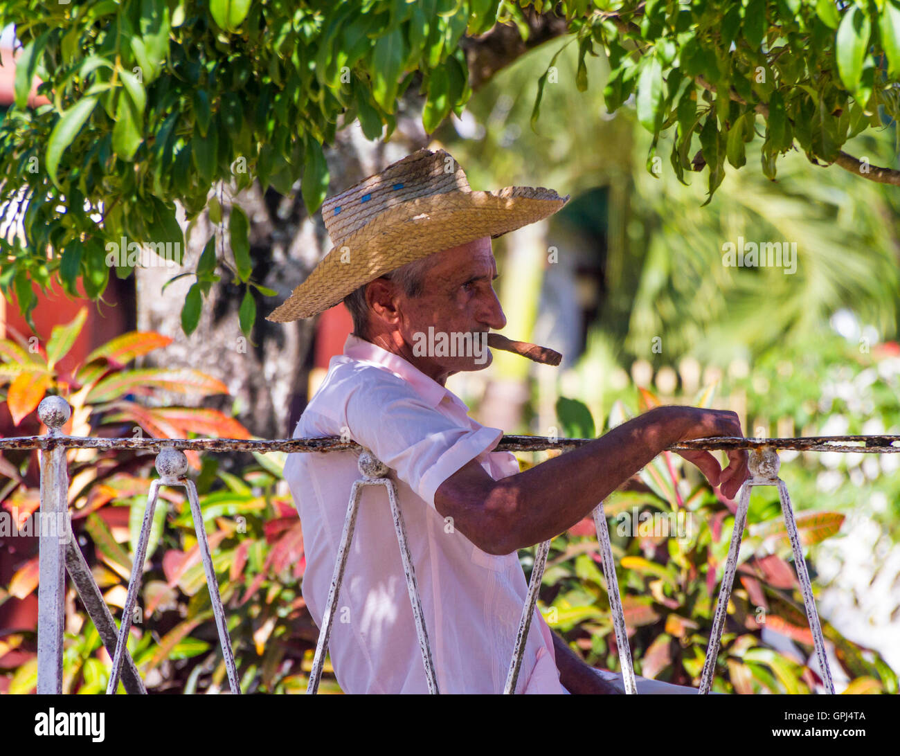 Il vecchio uomo di fumare un sigaro sotto un albero in inverno cubano sun. Vinales Valley Foto Stock