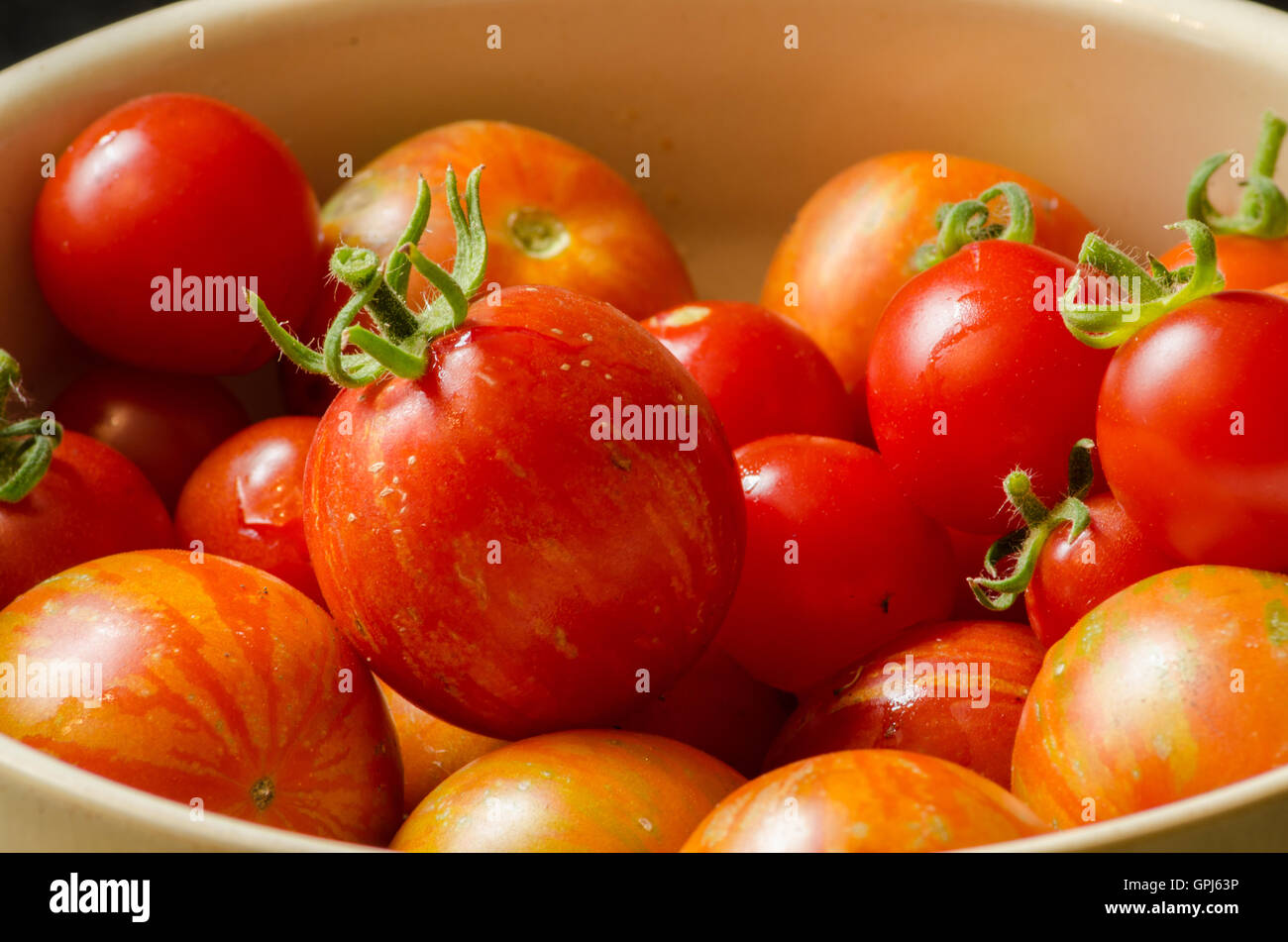 Una chiusura di pomodori cresciuti in casa appena raccolto dal giardino. Foto Stock