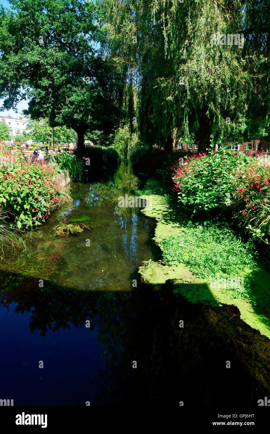 Fiume ITCHEN. WINCHESTER. Foto Stock