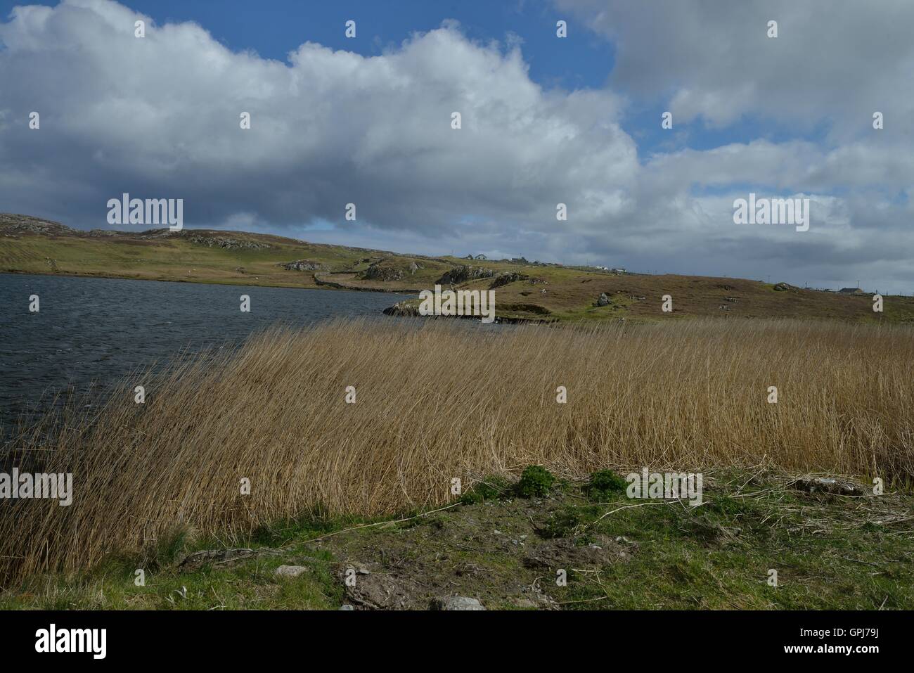 Inishbofin è un'isola irlandese nella Contea di Galway 8 km dal Connemara Coast. - Île irlandaise située dans le Comté de Galway, Iuna isla irlandesa.. Foto Stock