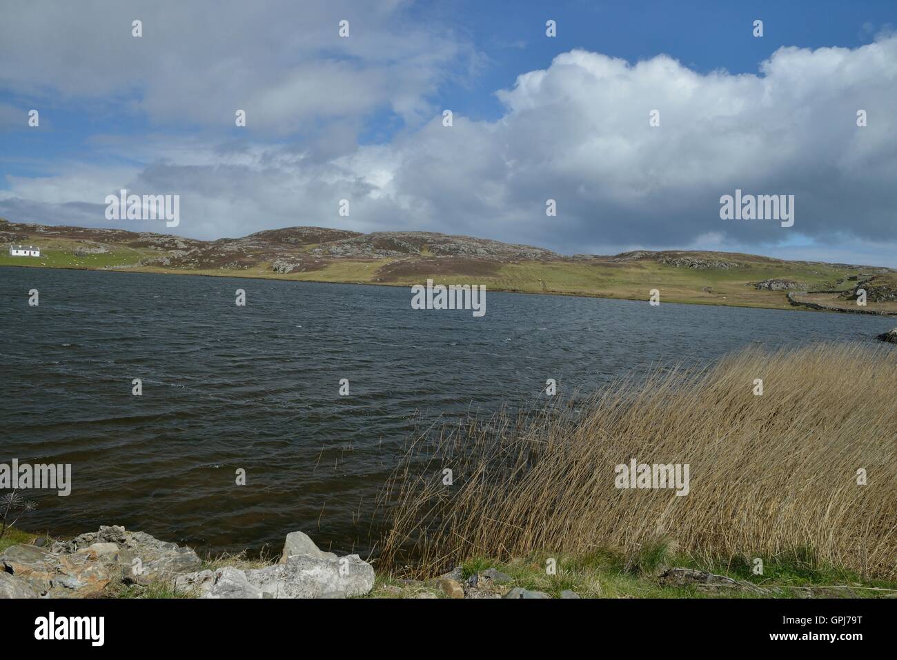 Inishbofin è un'isola irlandese nella Contea di Galway 8 km dal Connemara Coast. - Île irlandaise située dans le Comté de Galway, Iuna isla irlandesa.. Foto Stock