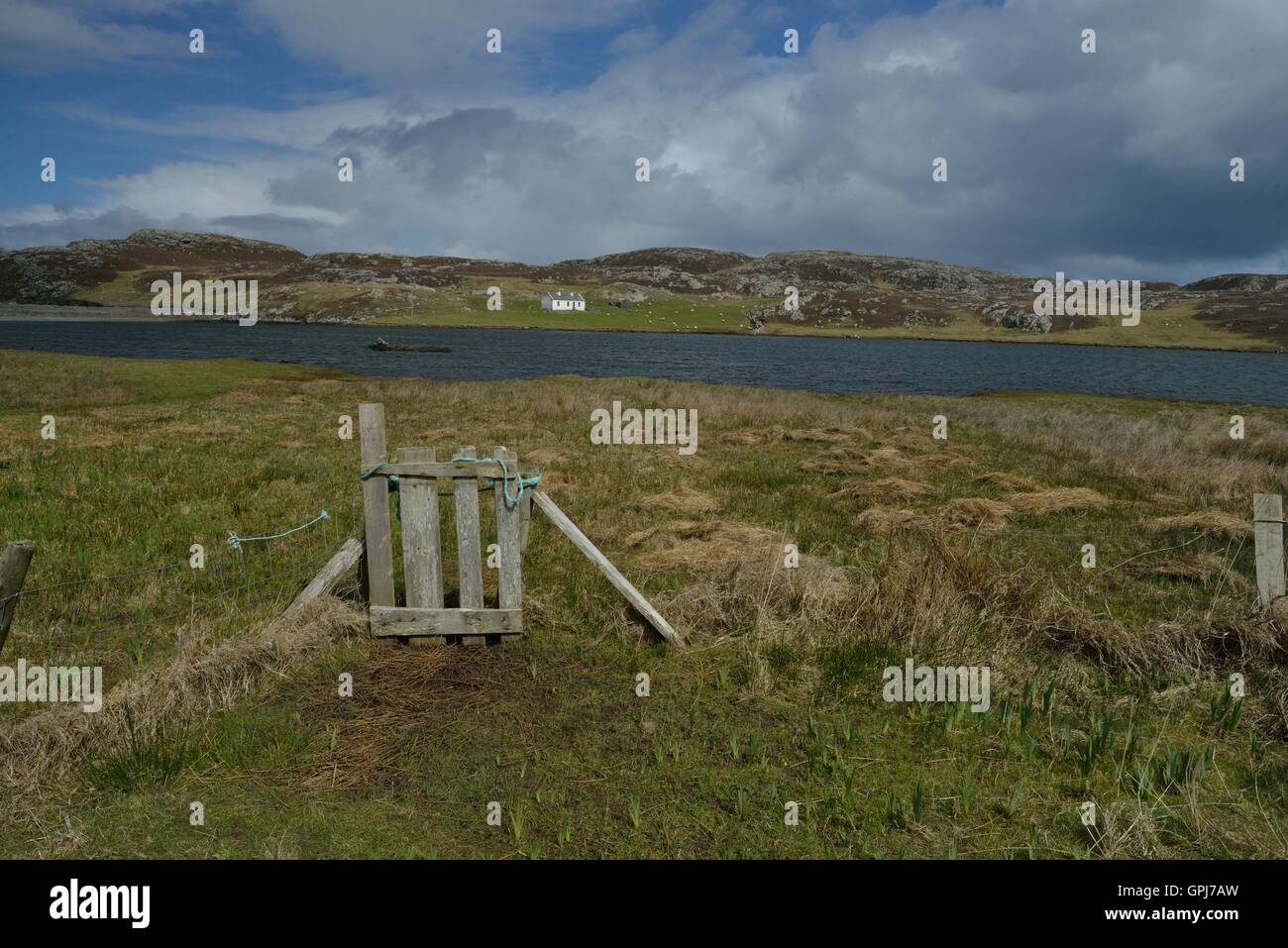 Inishbofin è un'isola irlandese nella Contea di Galway 8 km dal Connemara Coast. - Île irlandaise située dans le Comté de Galway, Iuna isla irlandesa.. Foto Stock