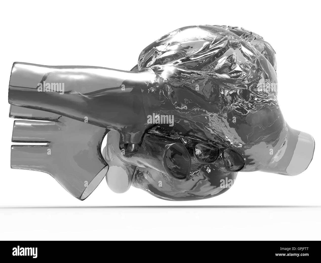 Modello artificiale del cuore umano Foto Stock
