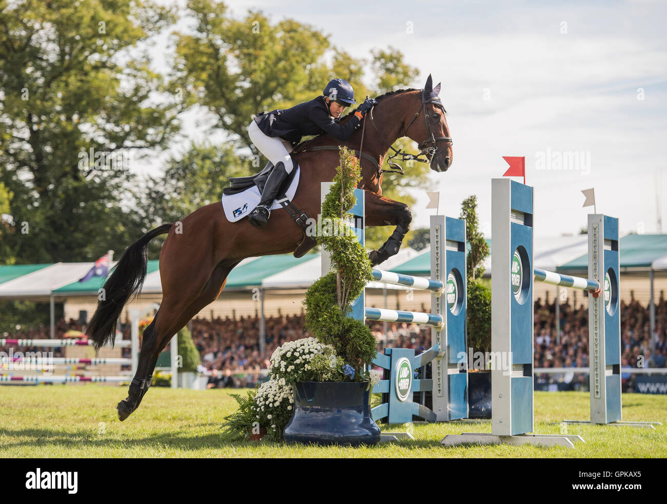 04.09.2016. Burghley House, Burghley, Inghilterra. Land Rover Burghley Horse Trials. Show Jumping. Tradimento cavalcato da Sarah Cohen competere nel Showjumping Foto Stock