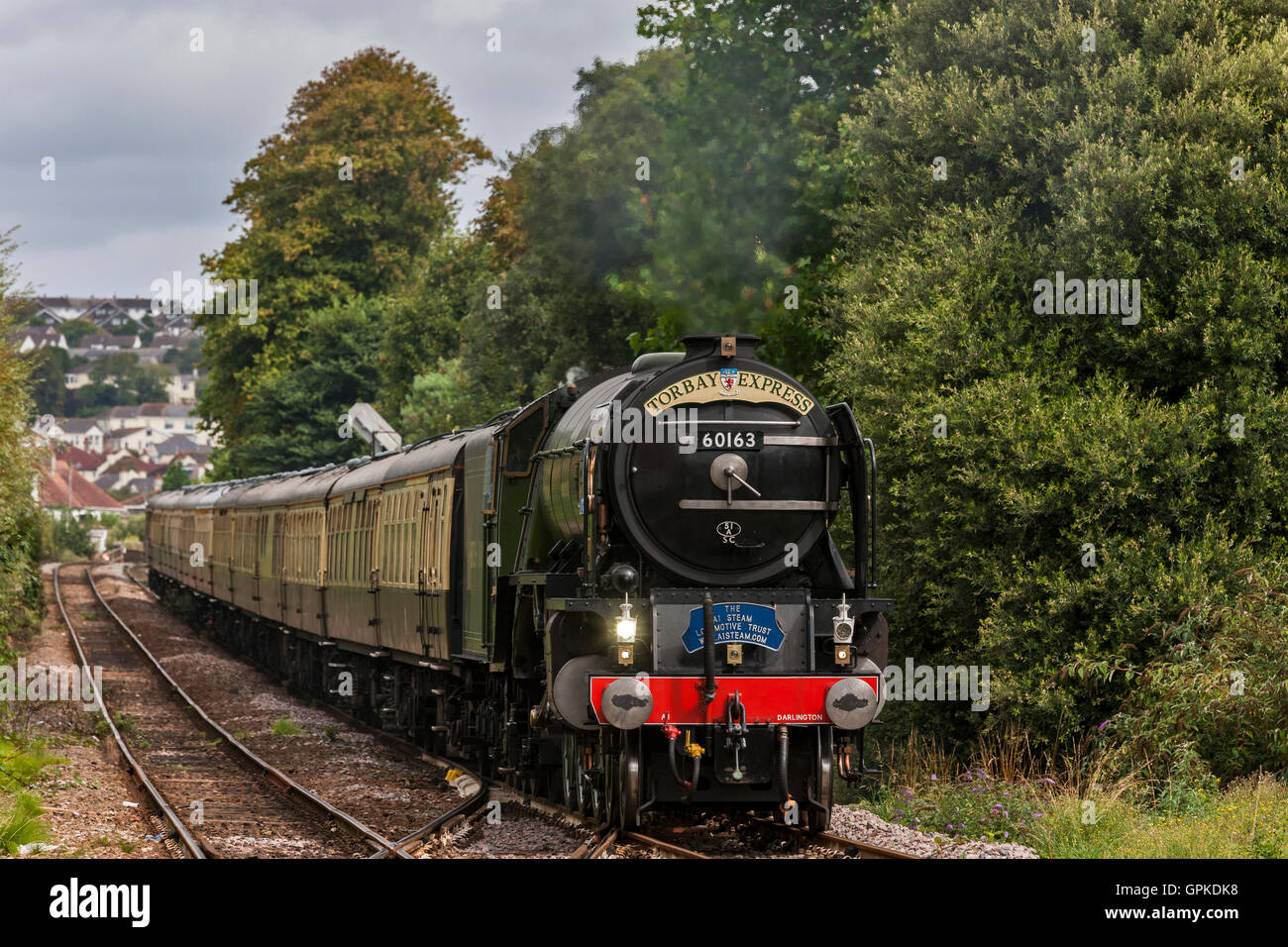 Paignton, Devon. Il 4 settembre 2016. Torbay Express, Tornado la cottura a vapore in Paignton. Credito: Barry Bateman/ Alamy Live News Foto Stock