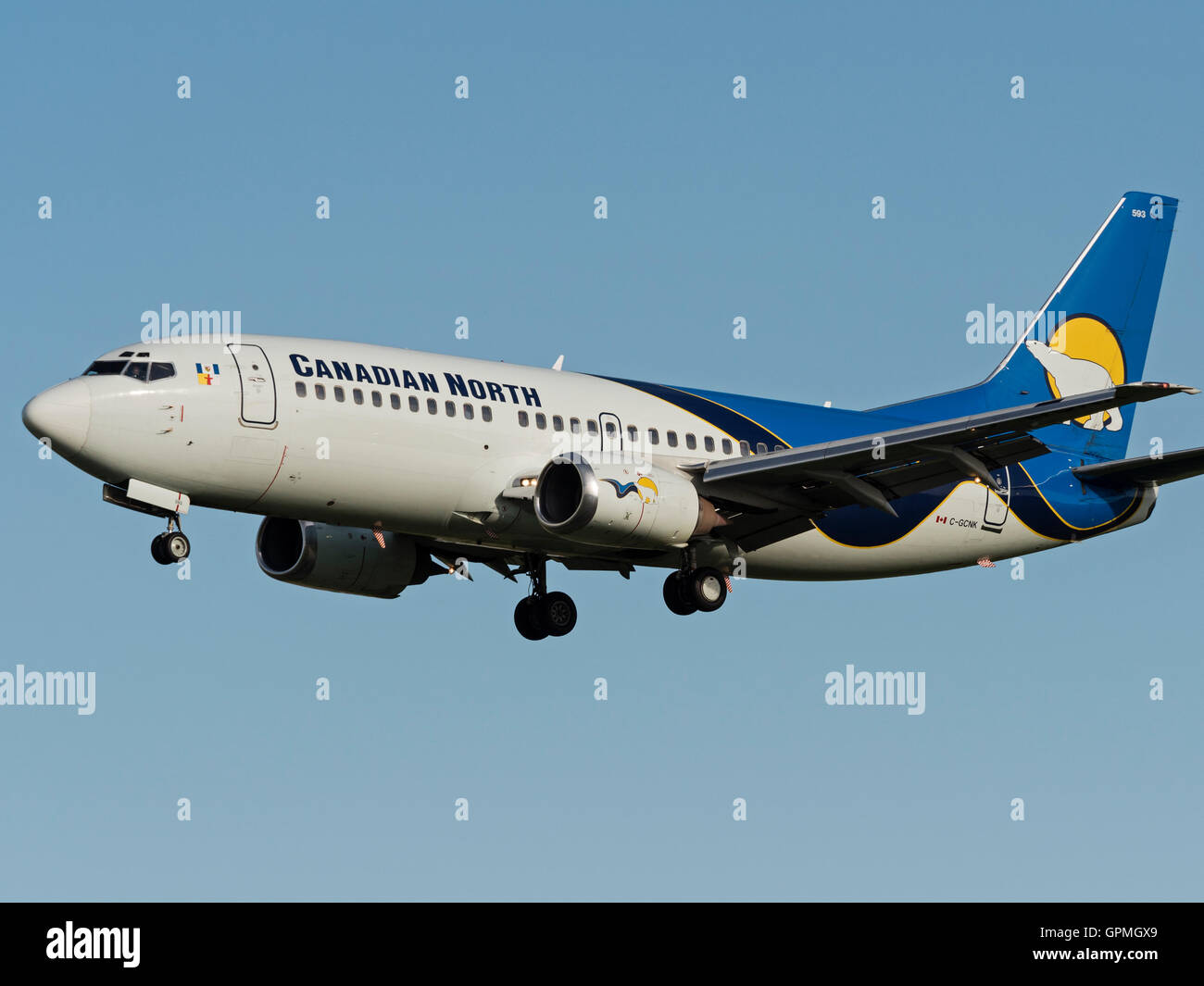 Del Nord canadese Boeing 737 (737-300) C-GCNK aereo jet sull approccio finale per l'atterraggio all'Aeroporto Internazionale di Calgary Foto Stock