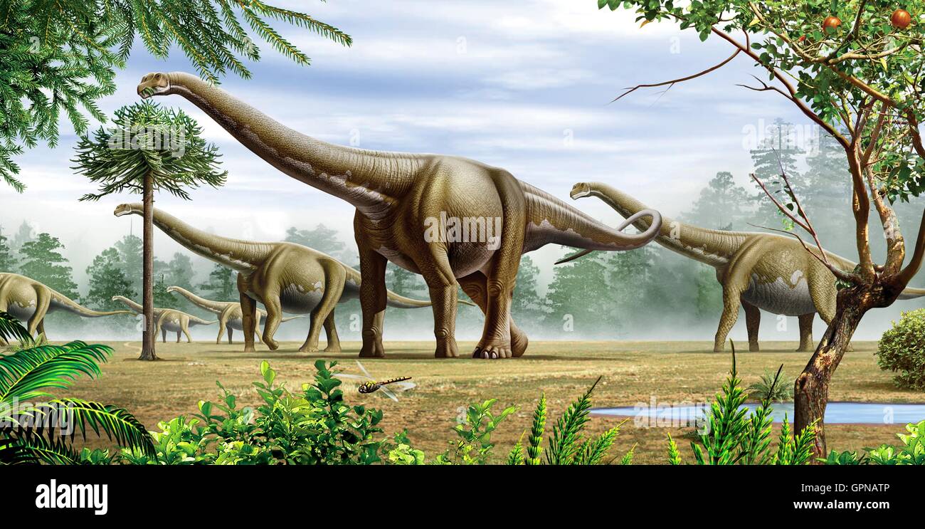 Un gruppo di dinosauri Argentinosaurus pascolare su alberi e foglie Foto Stock