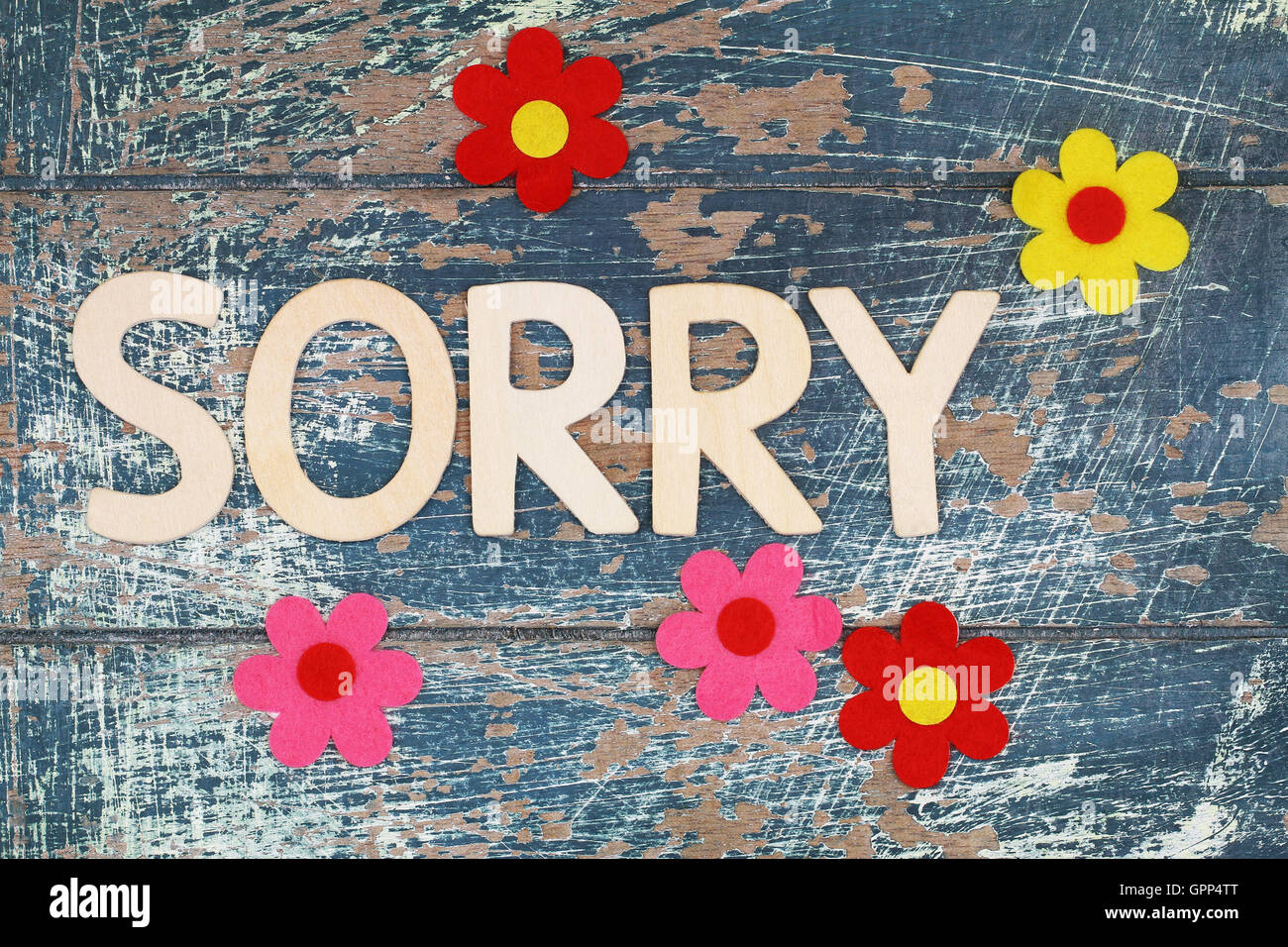 Siamo spiacenti ma scritto con lettere in legno e fiori colorati sulla superficie rustico Foto Stock