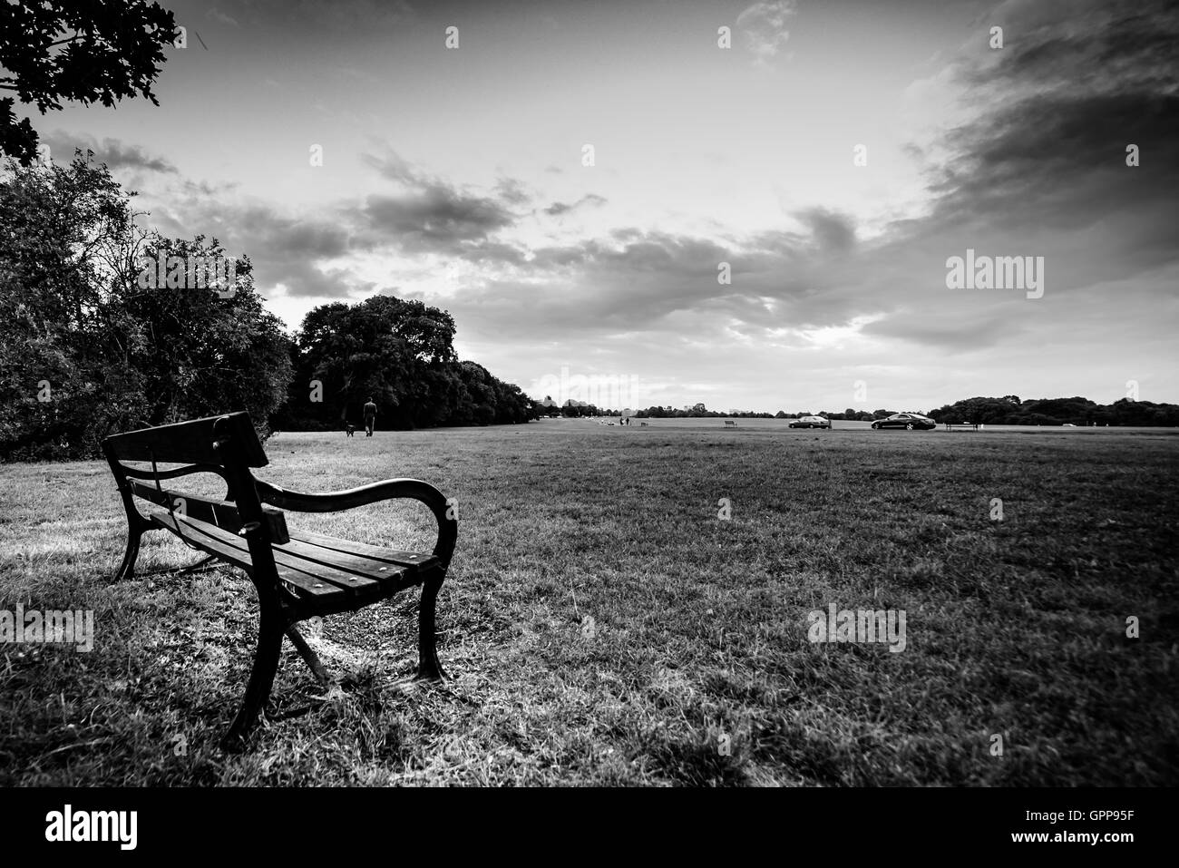Parco solitario sul banco di clifton downs a Bristol Regno Unito in bianco e nero Foto Stock