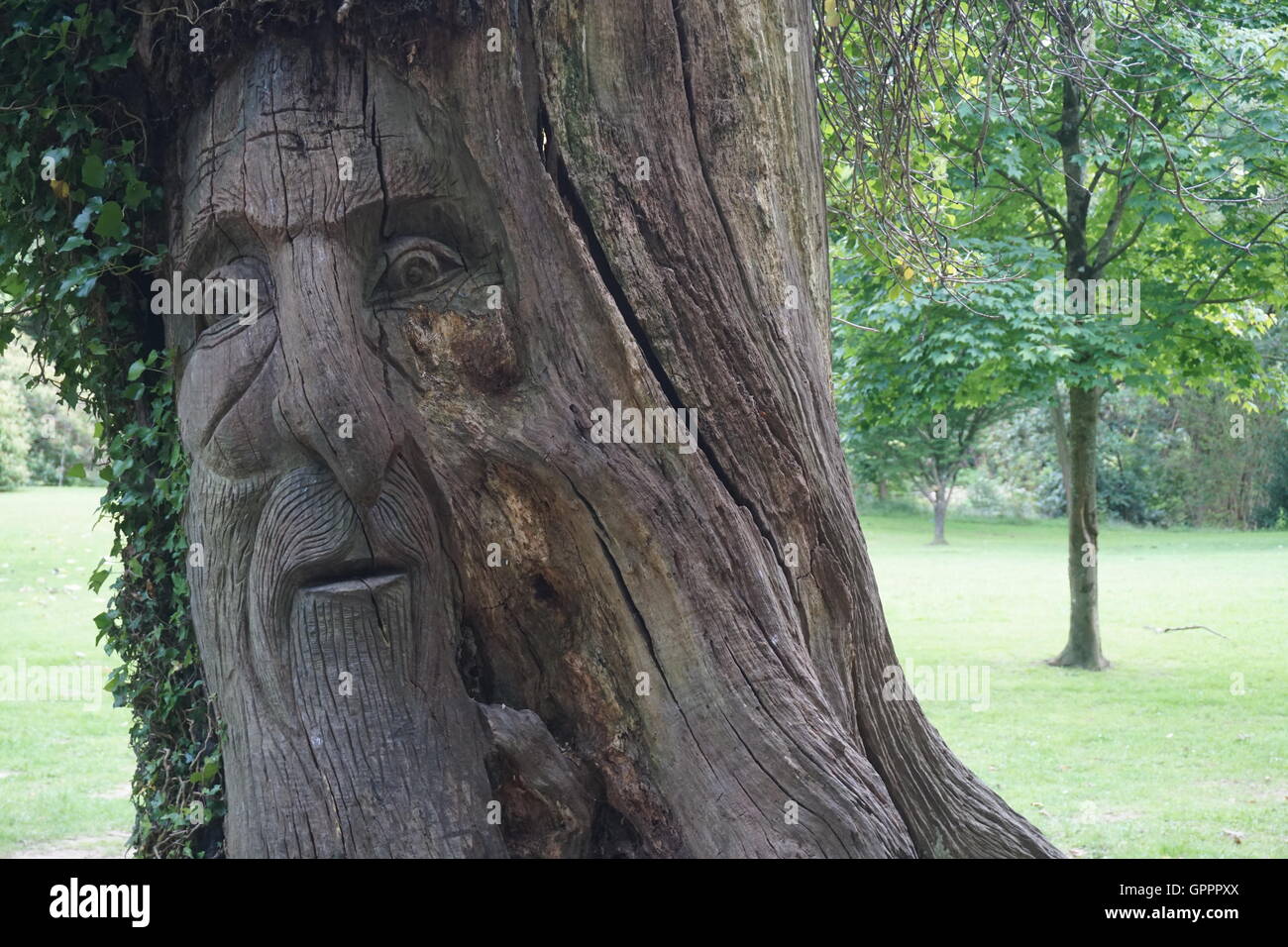 Il vecchio uomo nella struttura ad albero, clyne giardini, Swansea Foto Stock