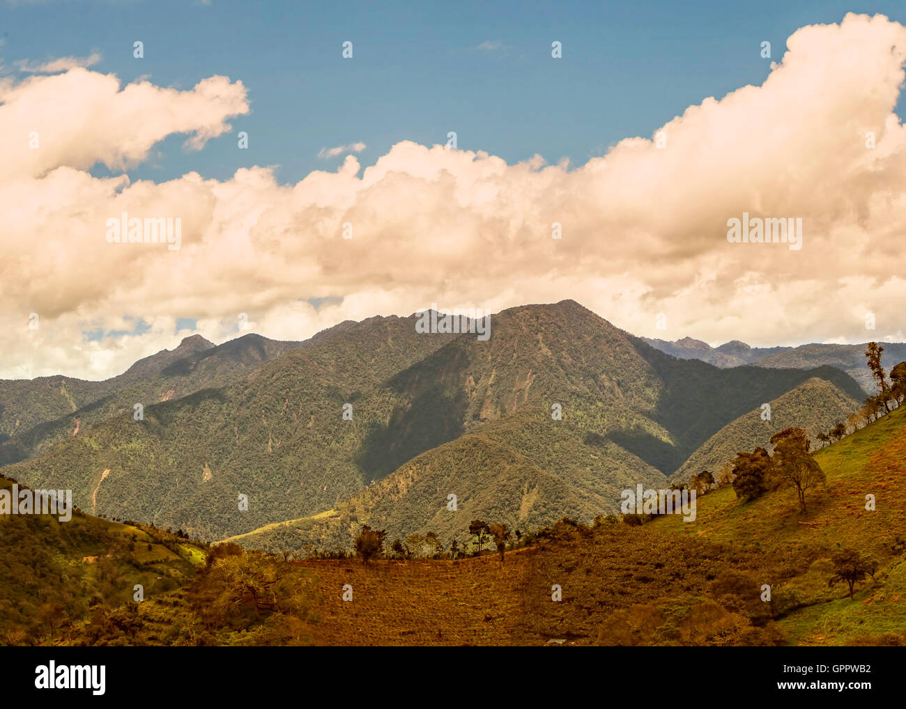 Montagne delle Ande, Cordillera Occidental, Ande, Ecuador centrale, vicino al vulcano Tungurahua, Ecuador, Sud America Foto Stock