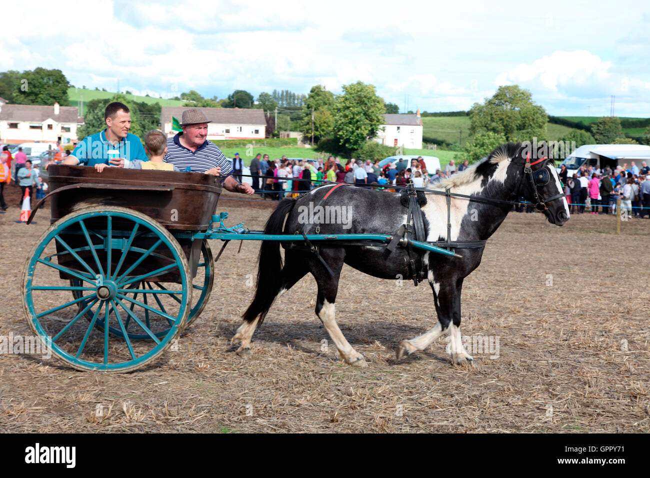 Pony e trappola a Carrickmacross Vintage Club campo Giorno in aiuto della carità Foto Stock