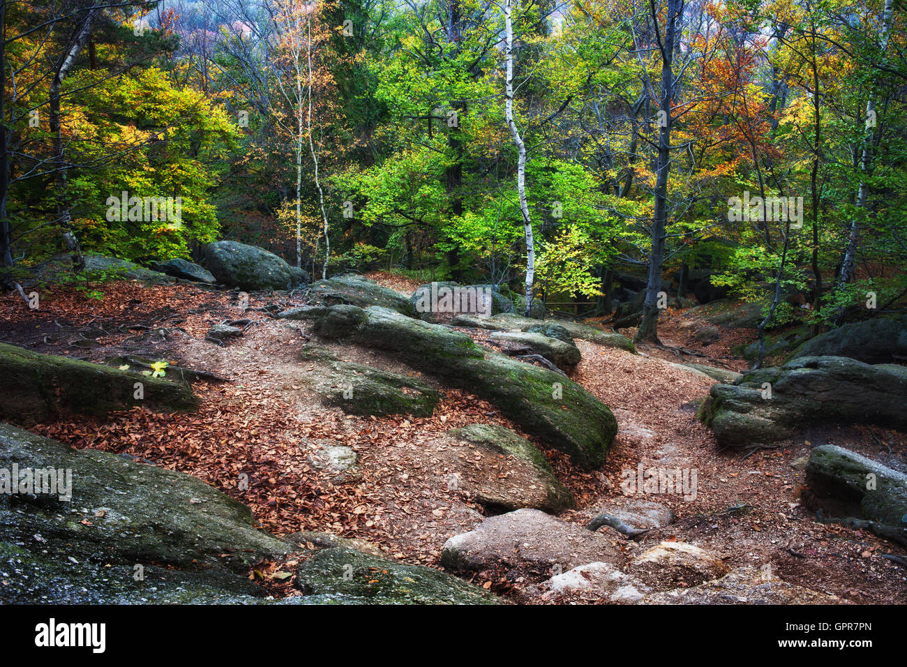 Piccola radura con rocce in autunno di foreste di montagna, Chojnik Mountain, monti Karkonosze, Polonia Foto Stock