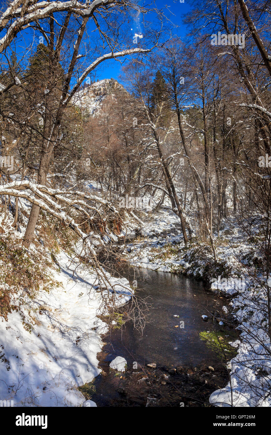 Oak Creek ad ovest sulla forcella il sentiero vicino a Sedona in Arizona, in inverno Foto Stock