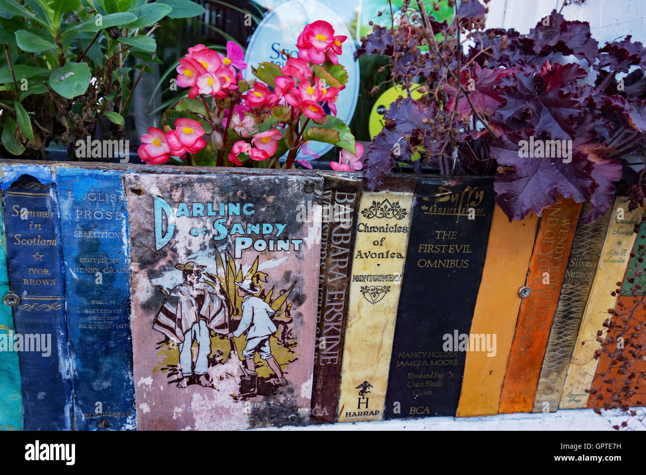 Finestra fioriera coperto con spine e copertine di libri. Nel libro città di Wigtown, Dumfries e Galloway. Foto Stock