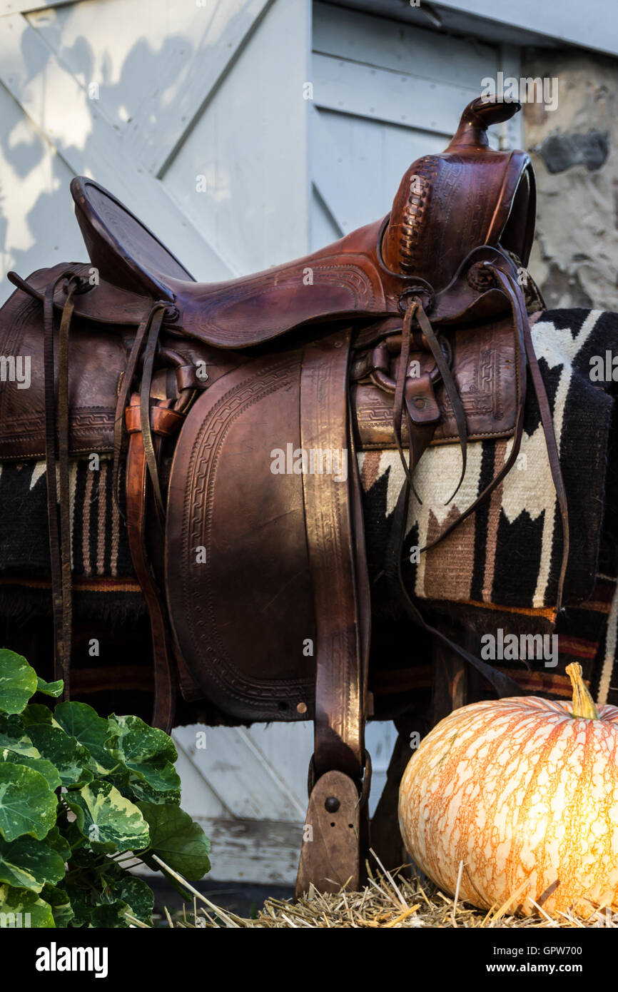 Una zucca sanguinari in appoggio su una balla di fieno accanto ad una sella western al di fuori di un fienile. Foto Stock Una zucca sanguinari in appoggio su una balla di fieno accanto ad una sella western al di fuori di un fienile. Foto Stock