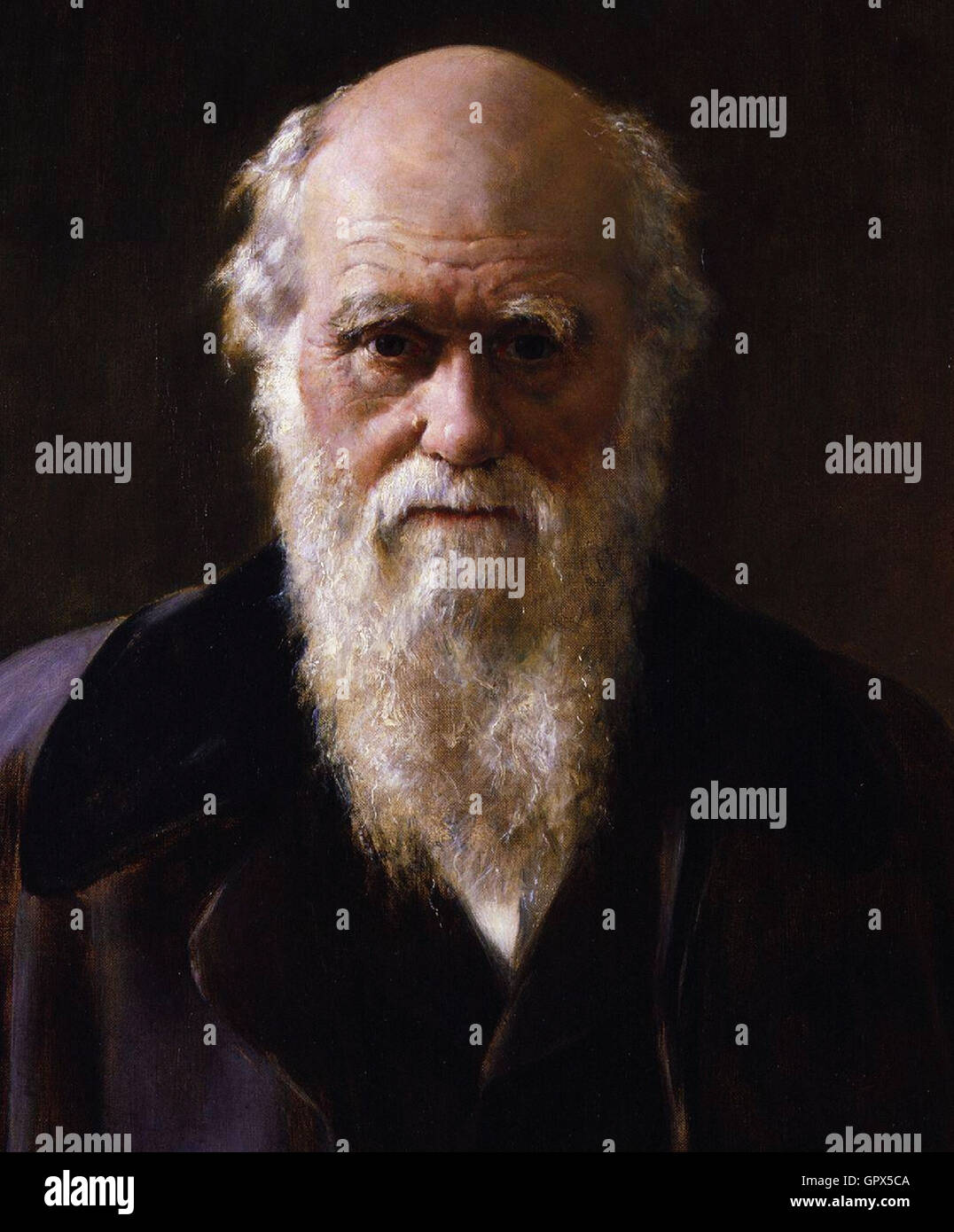 Robert Charles Darwin da John Collier Foto Stock