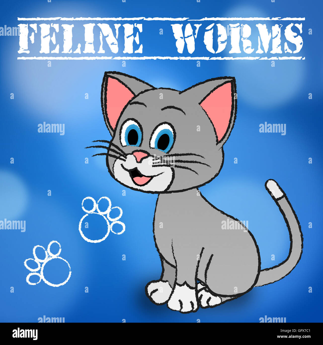 Worm felina significato il gatto domestico e il PET Foto Stock