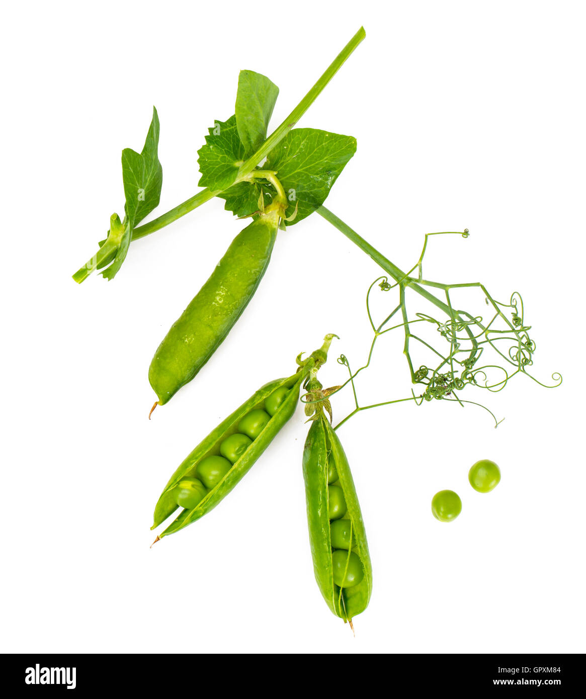 Piselli verdi isolati su sfondo bianco Foto Stock