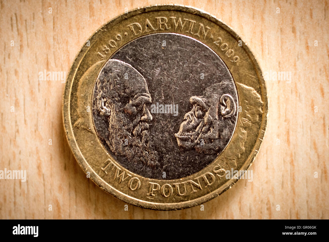 Una rara British due pound coin celebra il bicentenario di Charles Darwin la nascita. Foto Stock