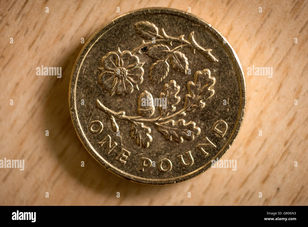 Un 2013 British una libbra di moneta, con l'emblema floreale di Inghilterra, progettato da Tiomthy Noad. Foto Stock