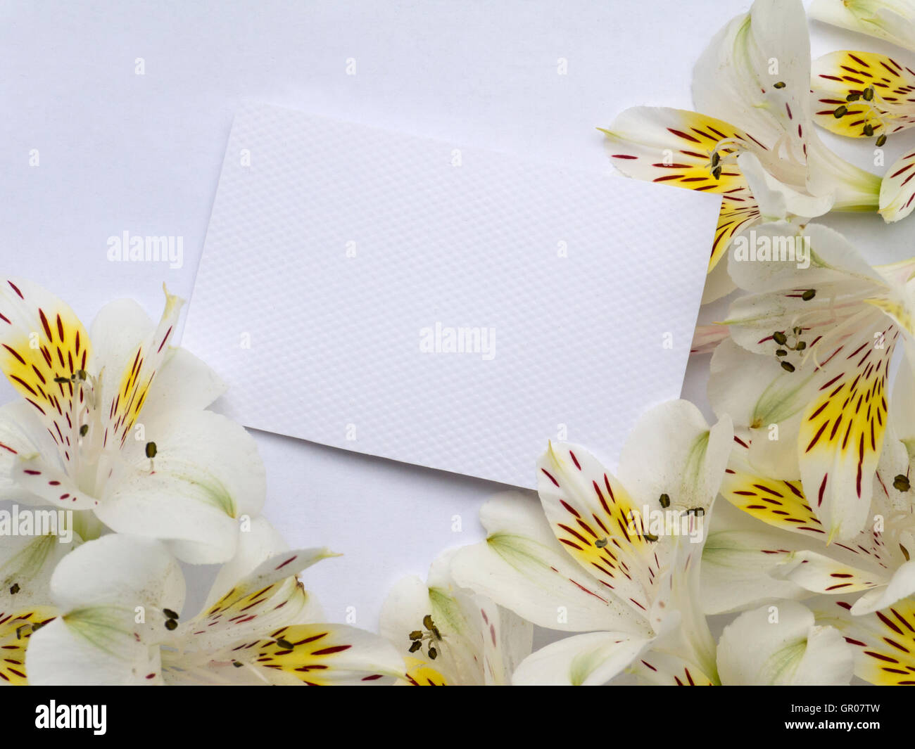 Bianco carta testurizzata invito scheda con bianco fiori alstroemeria nell'angolo Foto Stock
