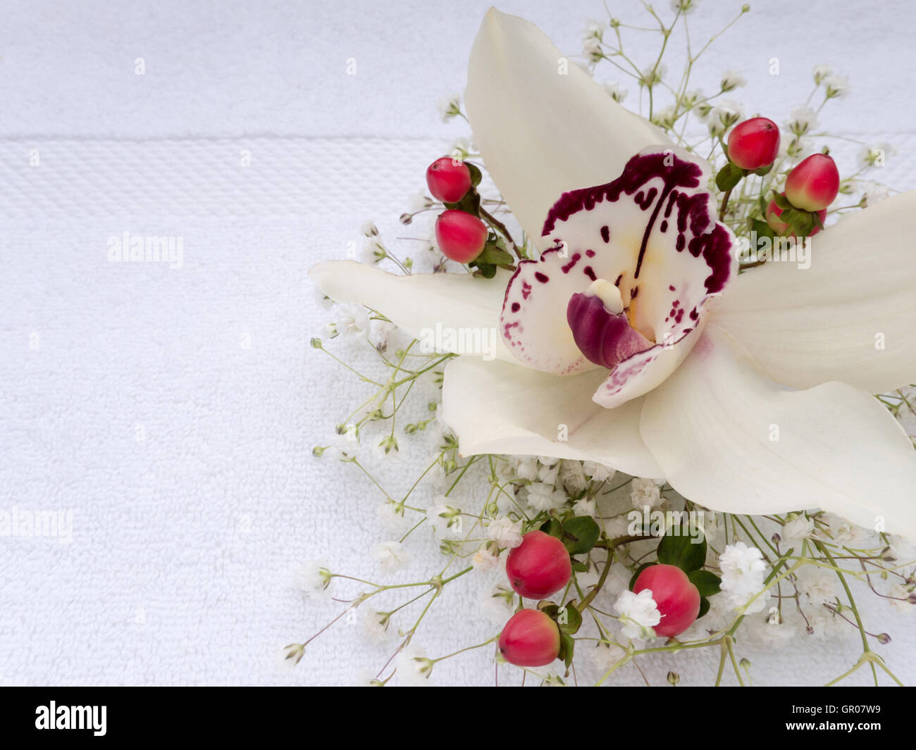 White Orchid fiore, hypericum bacche rosse e gypsophila sul bianco asciugamani in spugna Foto Stock