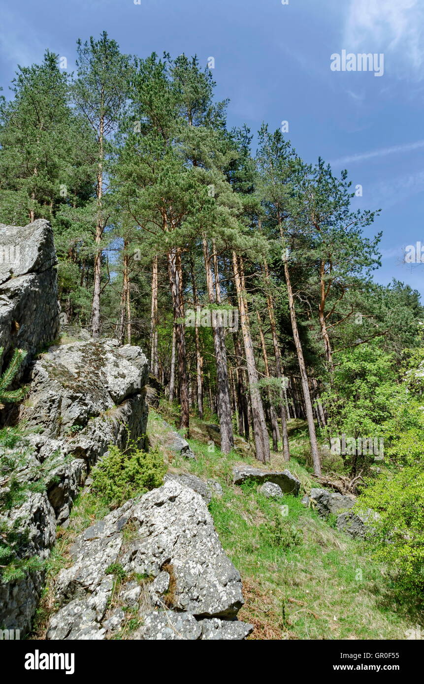 Il Monte Vitosha oltre Jeleznitsa village, Sofia Foto Stock