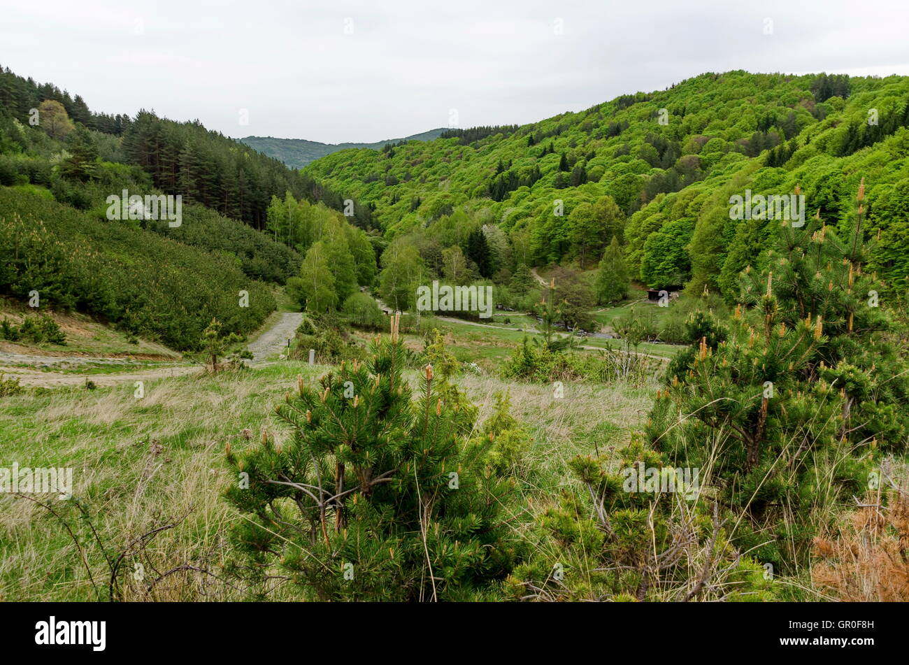 Il Monte Vitosha a primavera vicino a Sofia Foto Stock