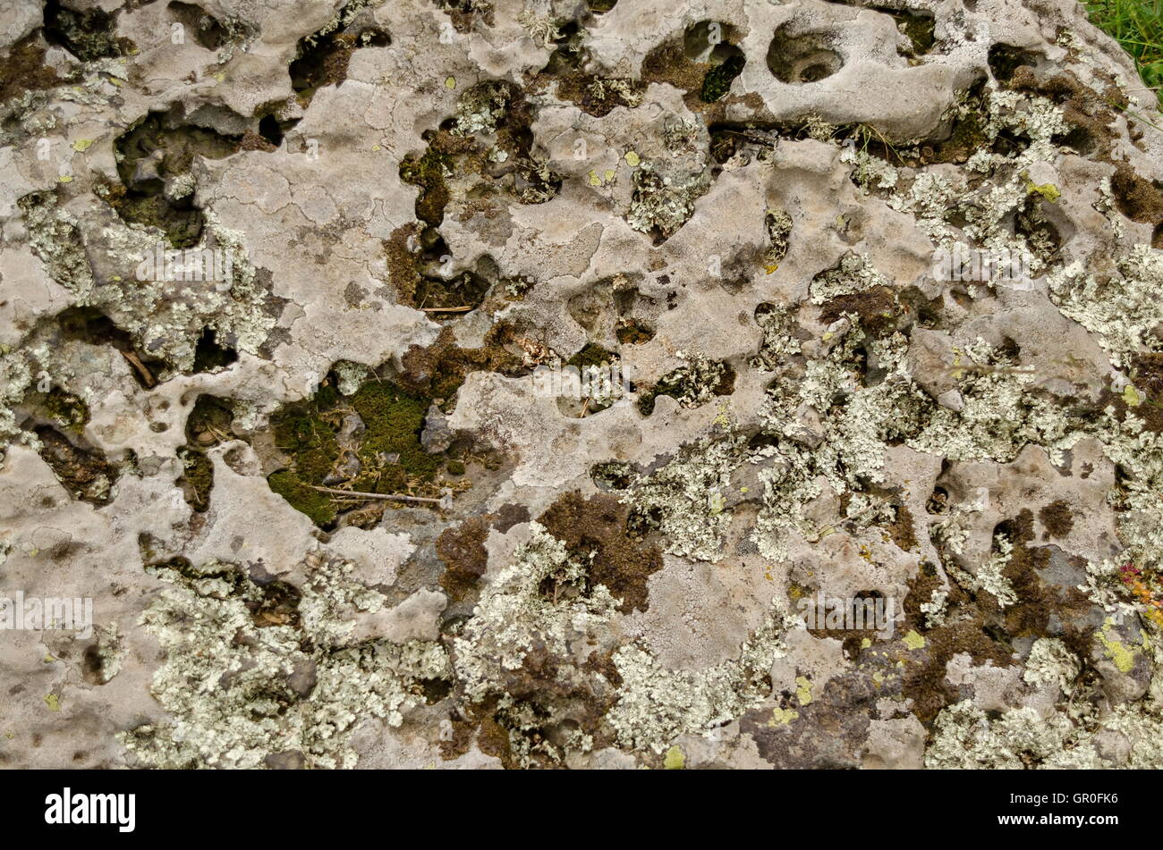 Pietra sedimentaria in montagna Vitosha Foto Stock
