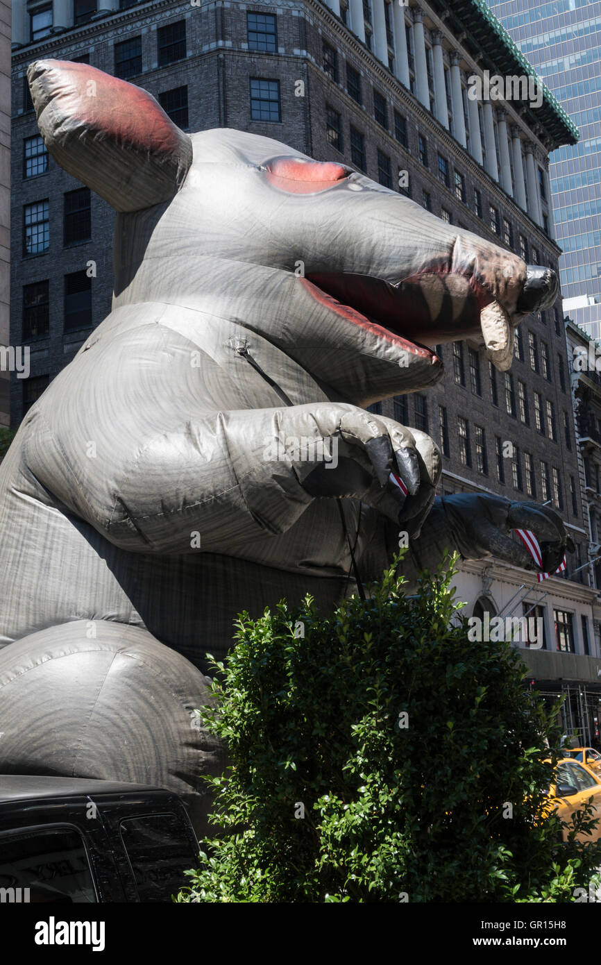 Lo 'cabby' è un Rat gigante gonfiabile alle dimostrazioni dell'Unione, New York City, USA Foto Stock
