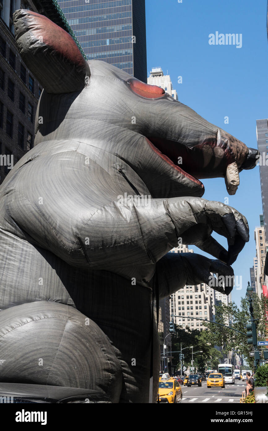 Lo 'cabby' è un Rat gigante gonfiabile alle dimostrazioni dell'Unione, New York City, USA Foto Stock