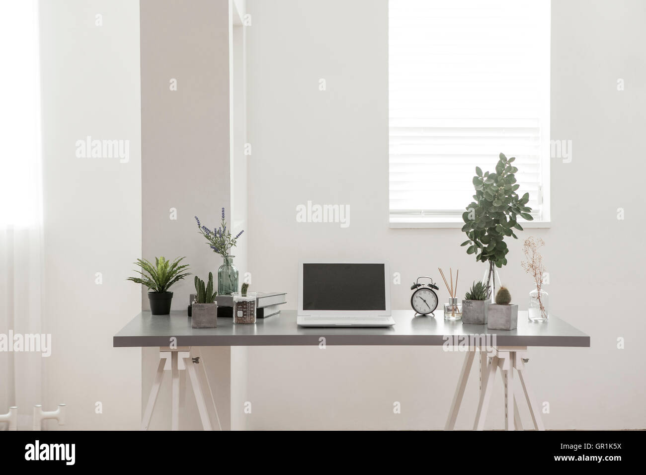 Interior piantati con pentole e computer portatile sul tavolo Foto Stock