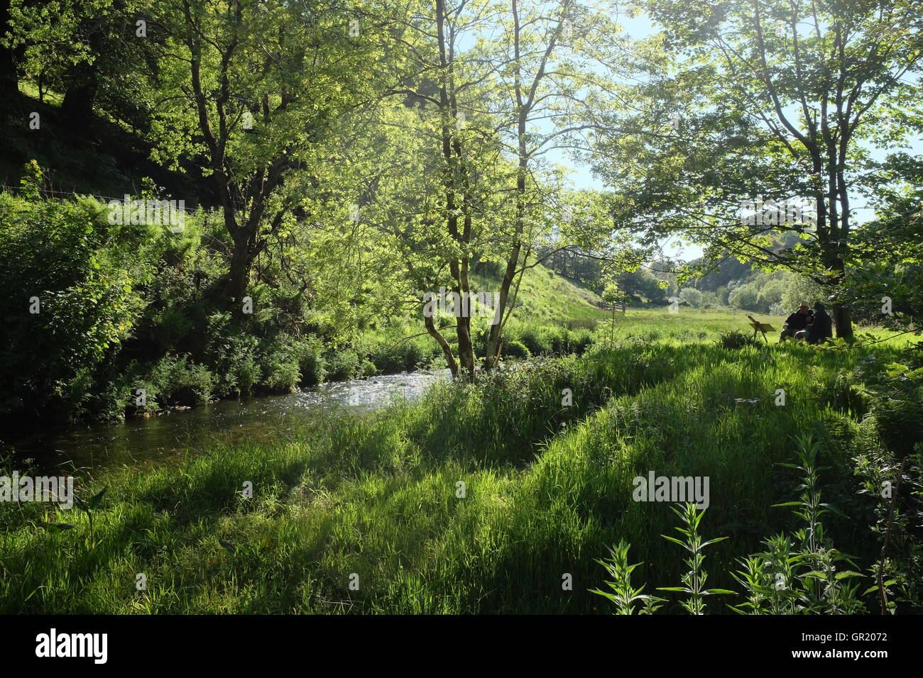 Sunny bosco in scena con la Giovane pittura su un cavalletto accanto a un albero da un fiume, Devon Foto Stock